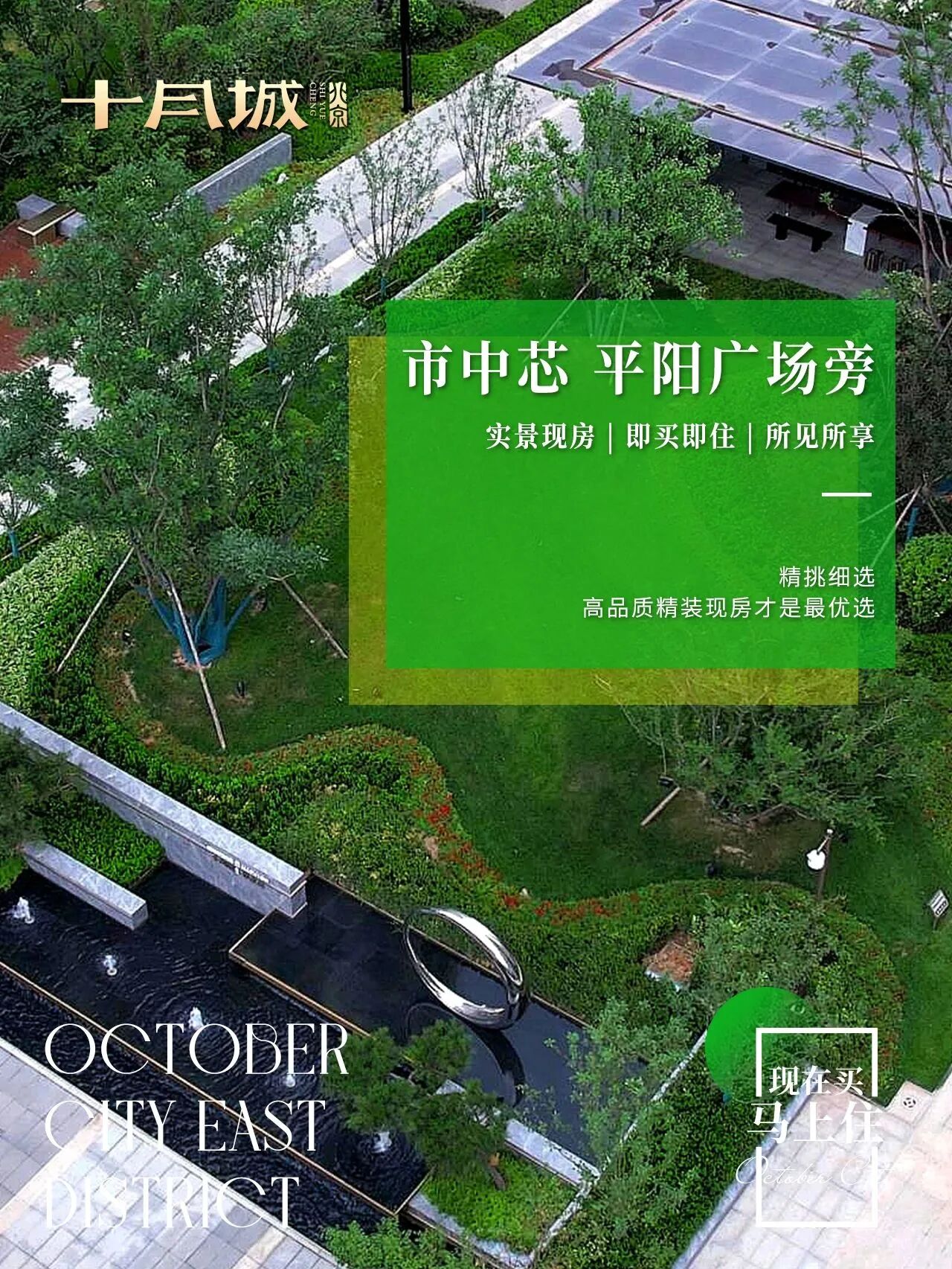 d6303fb9be02ebae2ba7e48bb9c6aadc.jpg