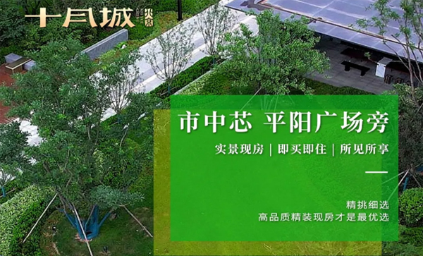 会长单位动态丨【十月城·国风苑】高品质现房